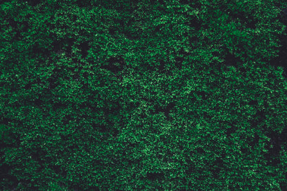 Green Moss On Wall Photograph Photograph Print 100% Australian Made