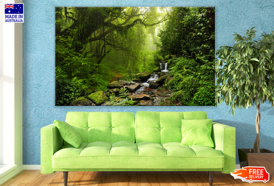 Water Stream in Deep Forest Trees Photograph Print 100% Australian Made