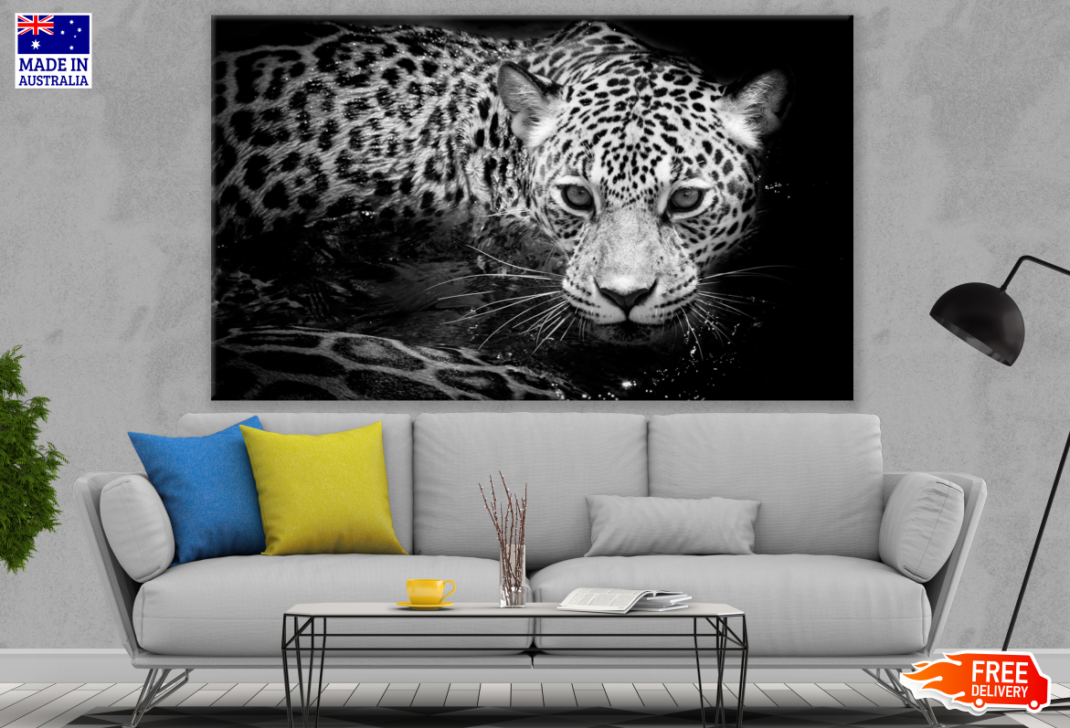 Leopard Close up Portrait B&W Photograph Print 100% Australian Made