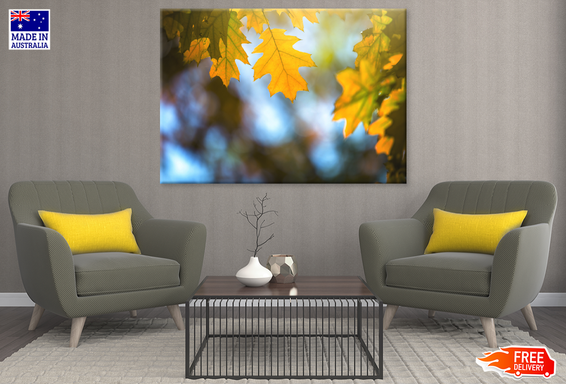 Autumn Leaves Closeup Photograph Print 100% Australian Made