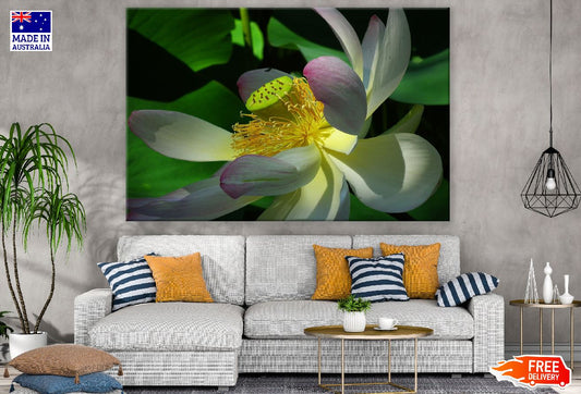 Lotus Flower Macro Photograph Print 100% Australian Made