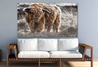 Highland Cow Standing on High Grass Print 100% Australian Made