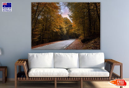 Road & Autumn Tree Forest Photograph Print 100% Australian Made