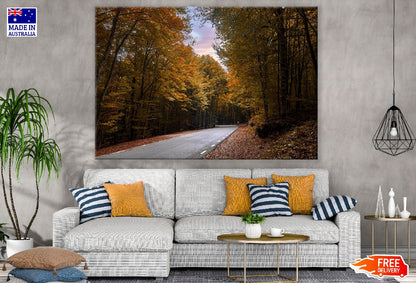 Road & Autumn Tree Forest Photograph Print 100% Australian Made