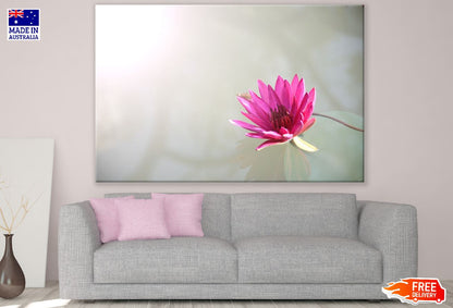 Pink Lotus Flower on Water Photograph Print 100% Australian Made