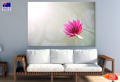 Pink Lotus Flower on Water Photograph Print 100% Australian Made