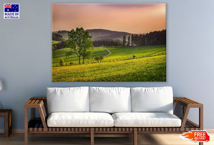 Trees on Flower Field Sunset Photograph Print 100% Australian Made