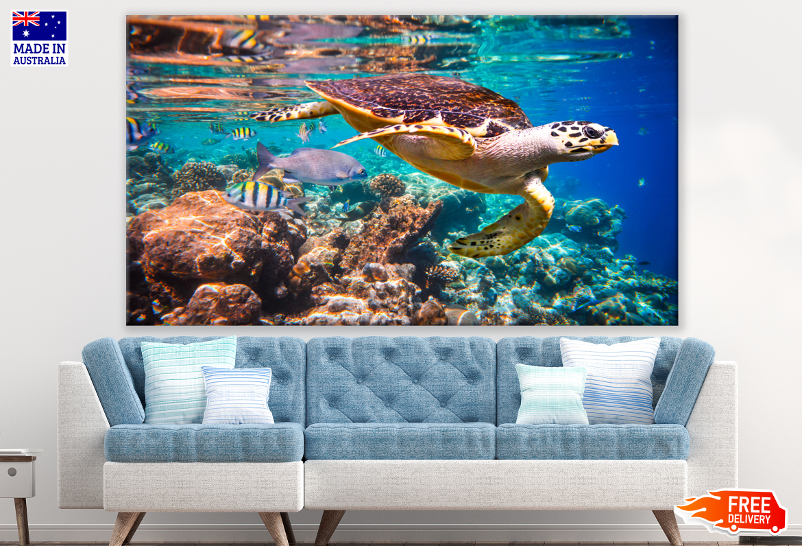 Sea Turtle Swimming Coral Reefs Beach Photograph Print 100% Australian Made