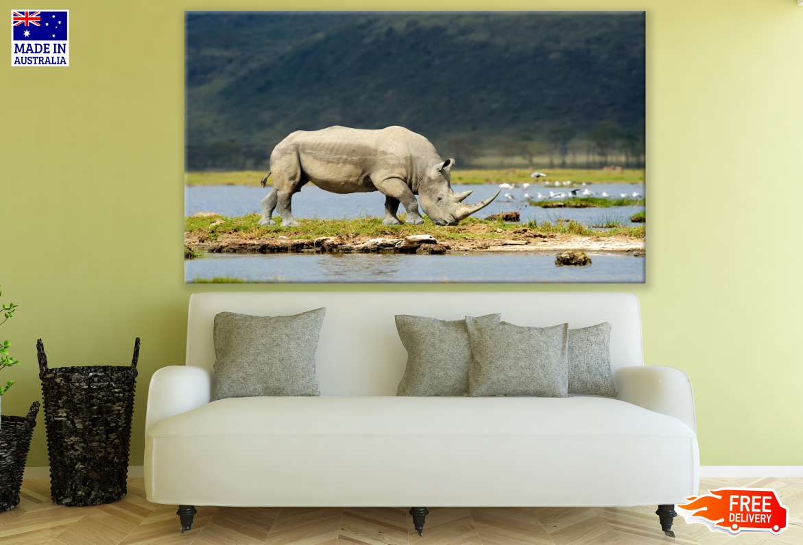 Rhinoceros Near Lake Photograph Print 100% Australian Made