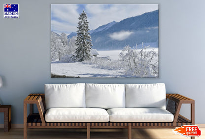 Snow Covered Tree & Mountains Photograph Print 100% Australian Made