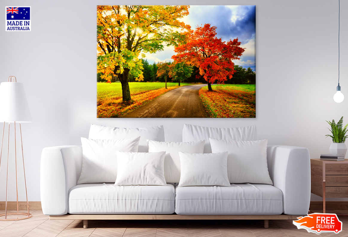 Autumn Trees & Road Photograph Print 100% Australian Made