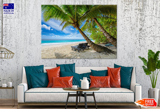 Palm Trees on Beach of Mauritius Island Photograph Print 100% Australian Made