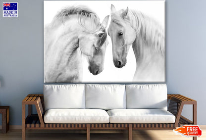 White Horses Portrait Photograph Print 100% Australian Made