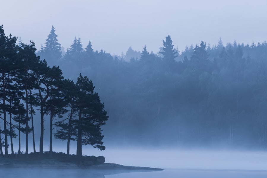 Trees on Lake & Foggy View Photograph Print 100% Australian Made