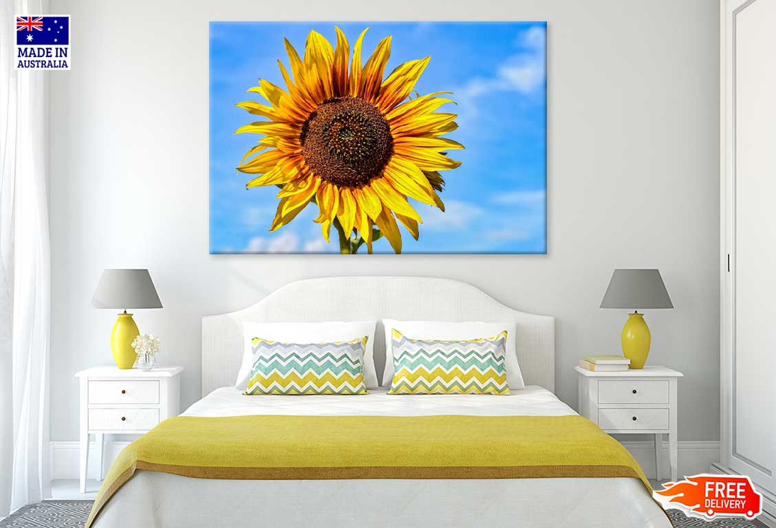 Sunflower & Blue Sky Photograph Print 100% Australian Made