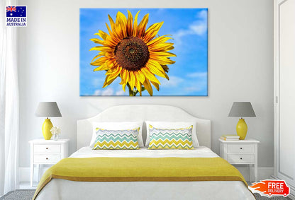 Sunflower & Blue Sky Photograph Print 100% Australian Made