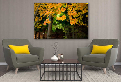 Bella Home Maple leaves Autumn in Japan Print Canvas Ready to hang