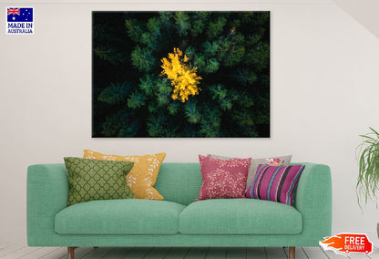 Yellow Tree in Green Forest View Print 100% Australian Made