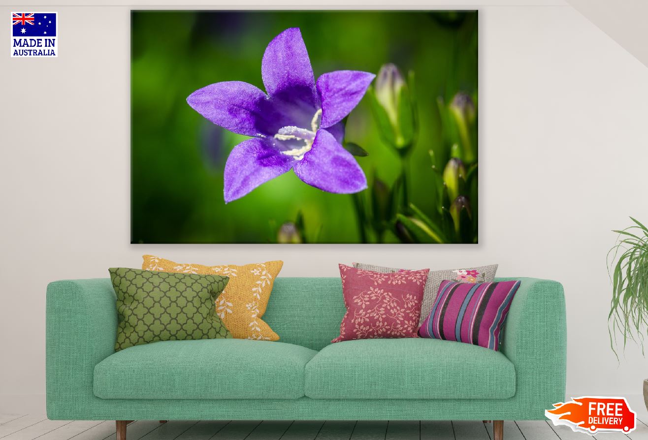 Purple Bell Flower Closeup Photograph Print 100% Australian Made