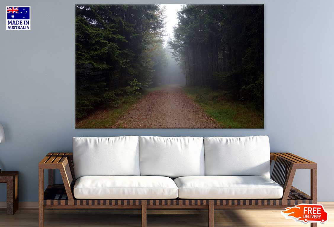 Road in Misty Forest Photograph Print 100% Australian Made