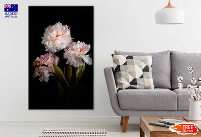 Pink Peonies on Dark Photograph Print 100% Australian Made