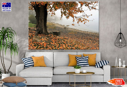 Autumn Tree Near Misty Lake Photograph Print 100% Australian Made