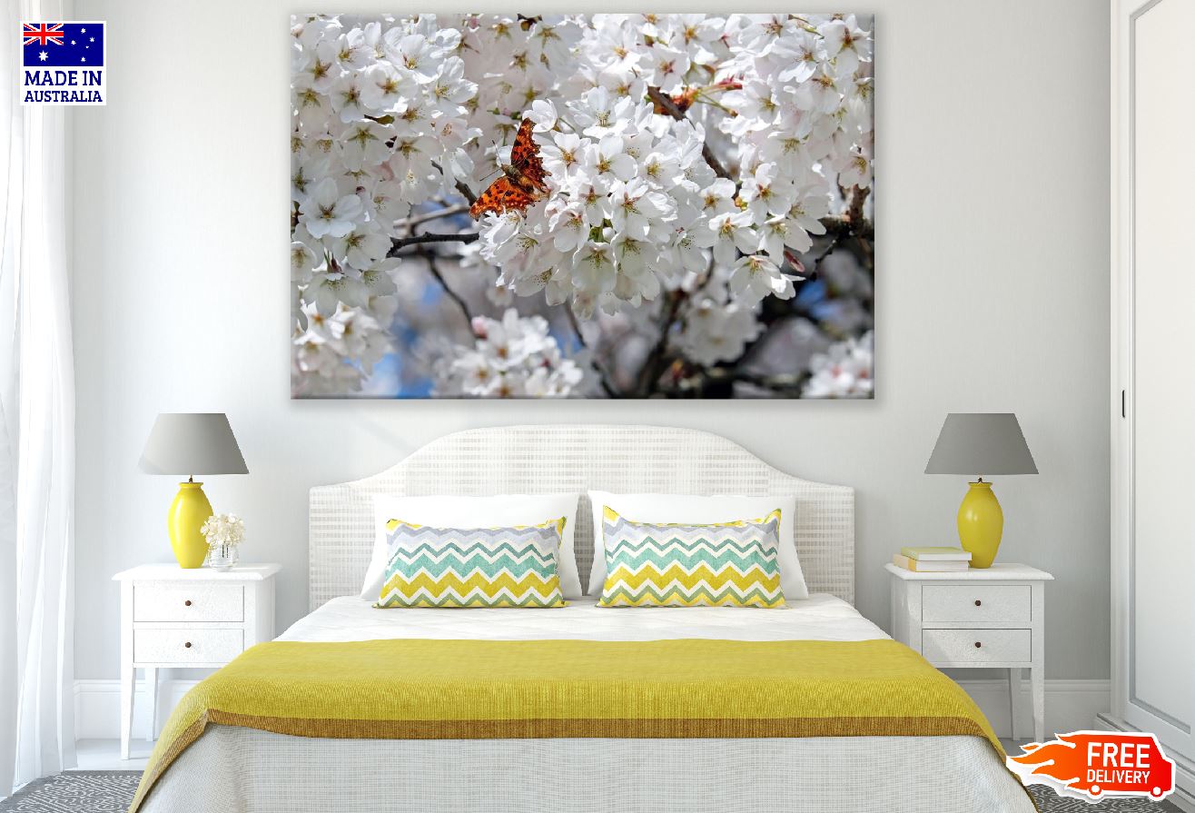 White Cherry Flowers & Butterfly Photograph Print 100% Australian Made
