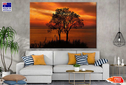 Trees Near Sea Sunset Photograph Print 100% Australian Made