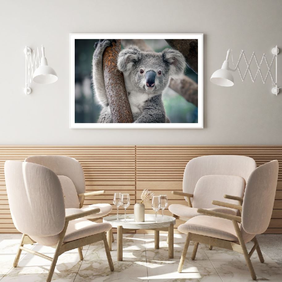 Panda on a Tree Photograph Home Decor Premium Quality Poster Print Choose Your Sizes