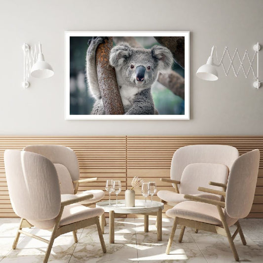 Panda on a Tree Photograph Home Decor Premium Quality Poster Print Choose Your Sizes