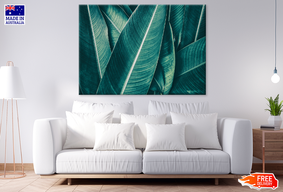 Palm Leaves Closeup Photograph Print 100% Australian Made