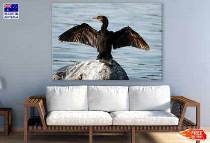 Portrait Water Bird Photograph Print 100% Australian Made