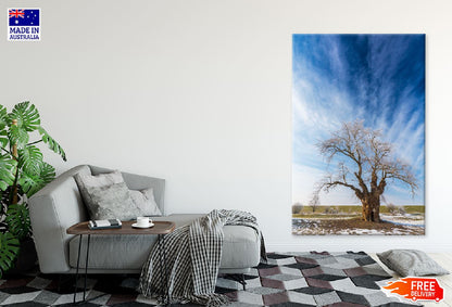 Leafless Tree on Snow Field View Photograph Print 100% Australian Made