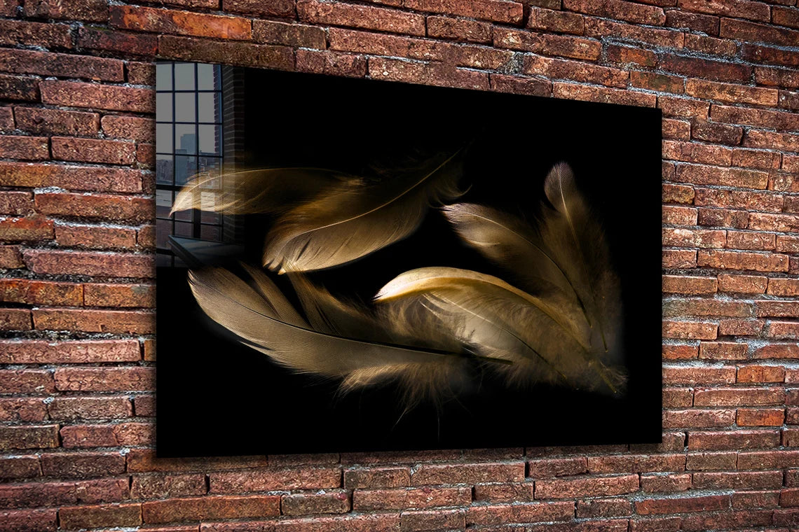 Brown Feathers on Dark Print Tempered Glass Wall Art 100% Made in Australia Ready to Hang