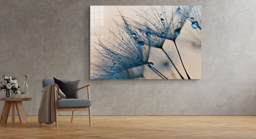 Dandelion Abstract View Print Tempered Glass Wall Art 100% Made in Australia Ready to Hang