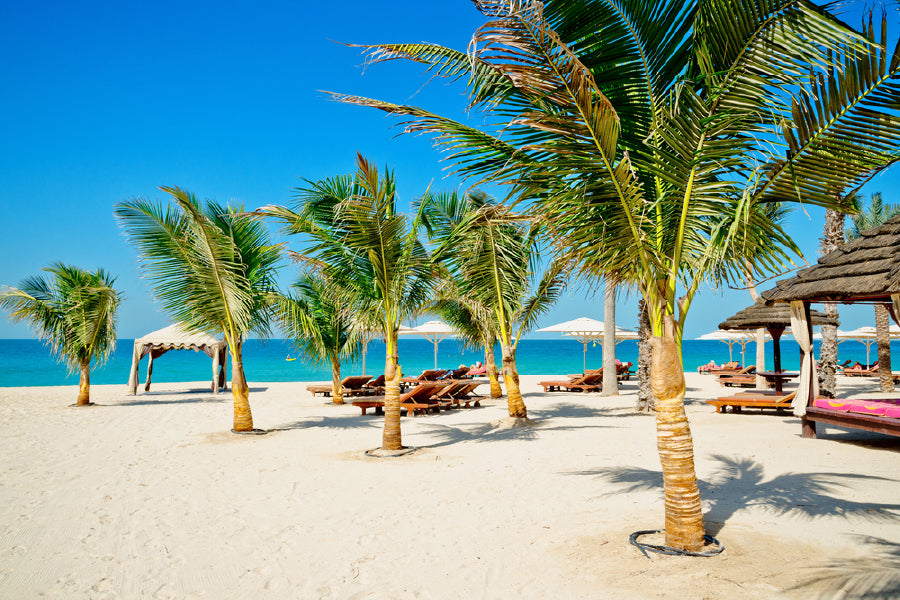 Palm Trees & Sunbeds Near Sea Photograph UAE Print 100% Australian Made