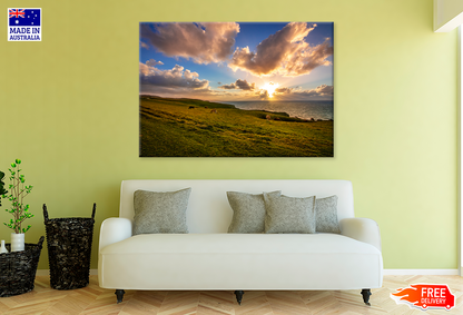 Cow Herd & Grassess Sunset View Photograph Print 100% Australian Made