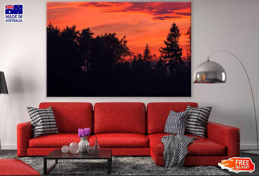 Forest at Sunset View Photograph Print 100% Australian Made