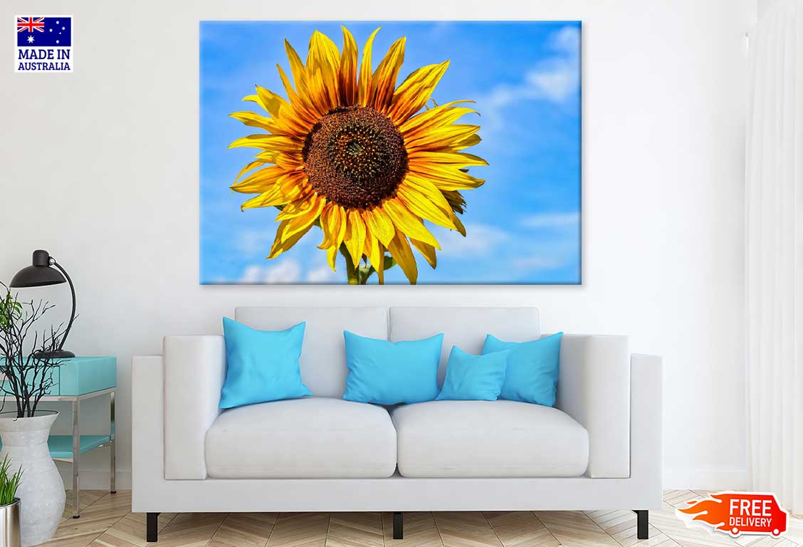 Sunflower & Blue Sky Photograph Print 100% Australian Made