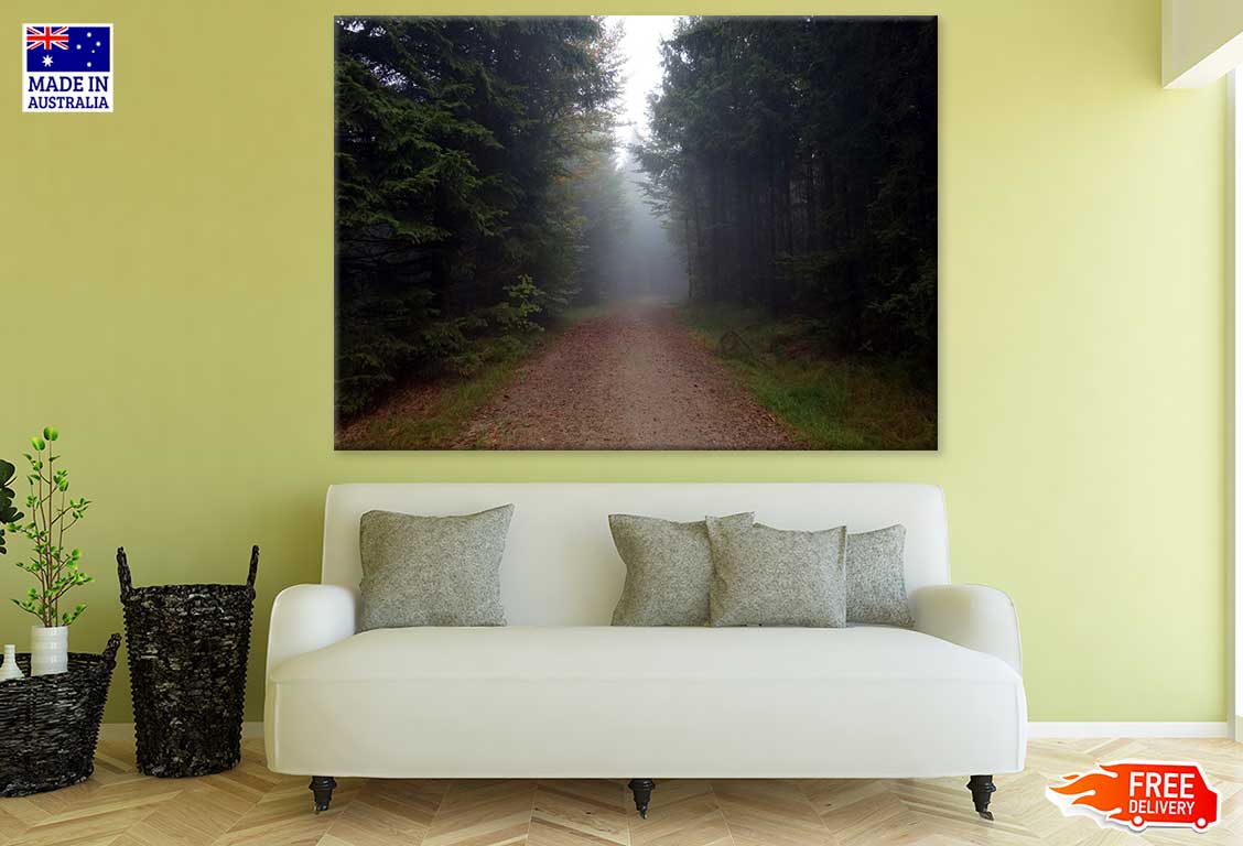 Road in Misty Forest Photograph Print 100% Australian Made