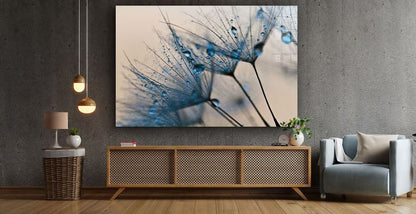 Dandelion Abstract View Print Tempered Glass Wall Art 100% Made in Australia Ready to Hang