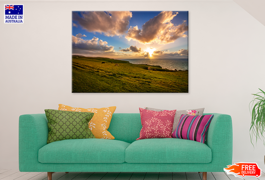 Cow Herd & Grassess Sunset View Photograph Print 100% Australian Made