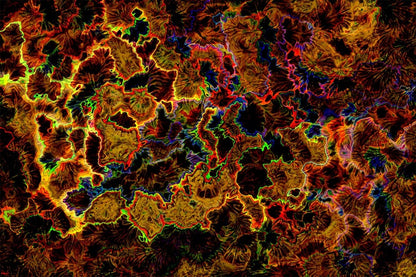 Gold Yellow & Red Abstract Design Print 100% Australian Made