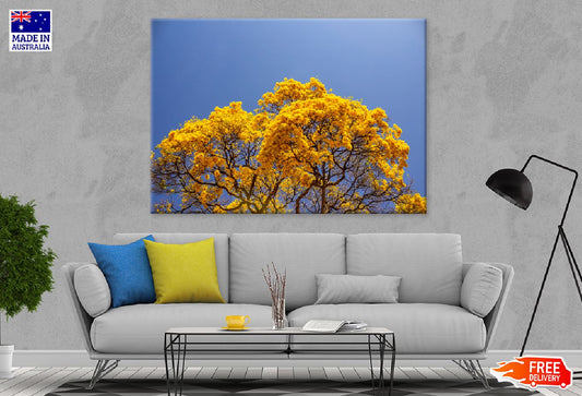 Yellow Autumn Tree Blue Sky View Photograph Print 100% Australian Made