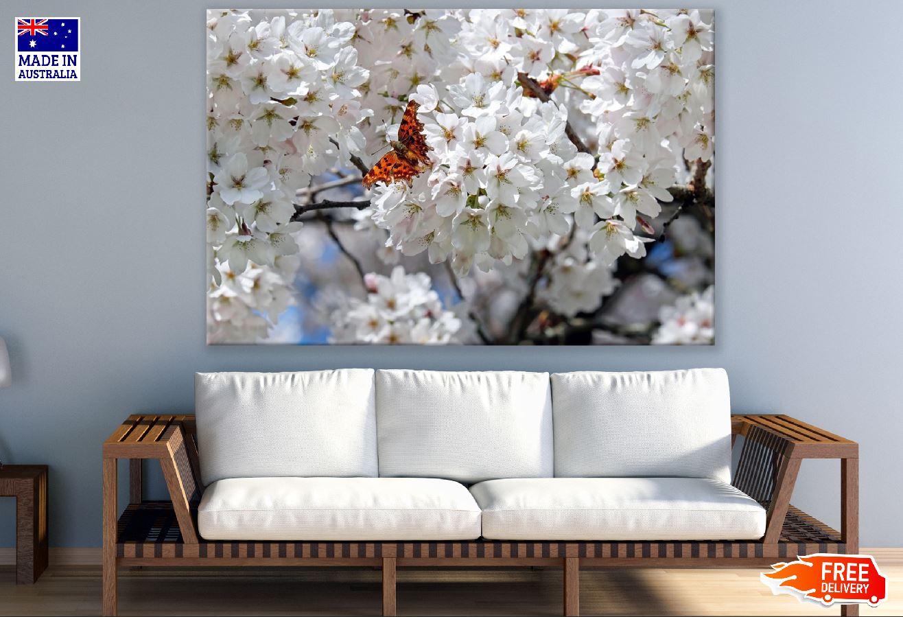 White Cherry Flowers & Butterfly Photograph Print 100% Australian Made