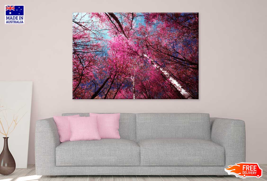 Pink Autumn Trees in Forest Scenery Photograph Print 100% Australian Made