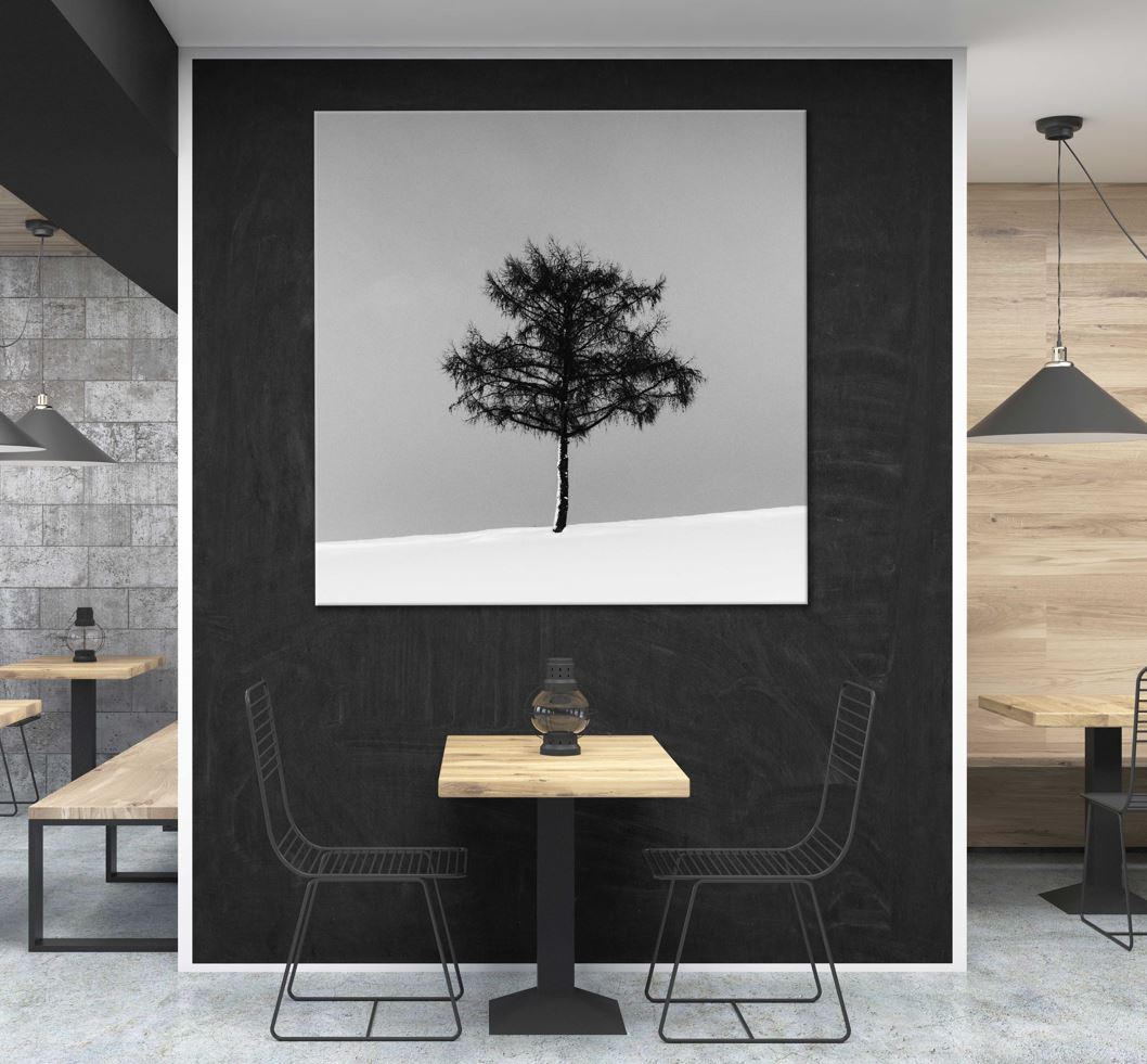 Square Canvas Alone Tree in Snow Field B&W View Photograph High Quality Print 100% Australian Made