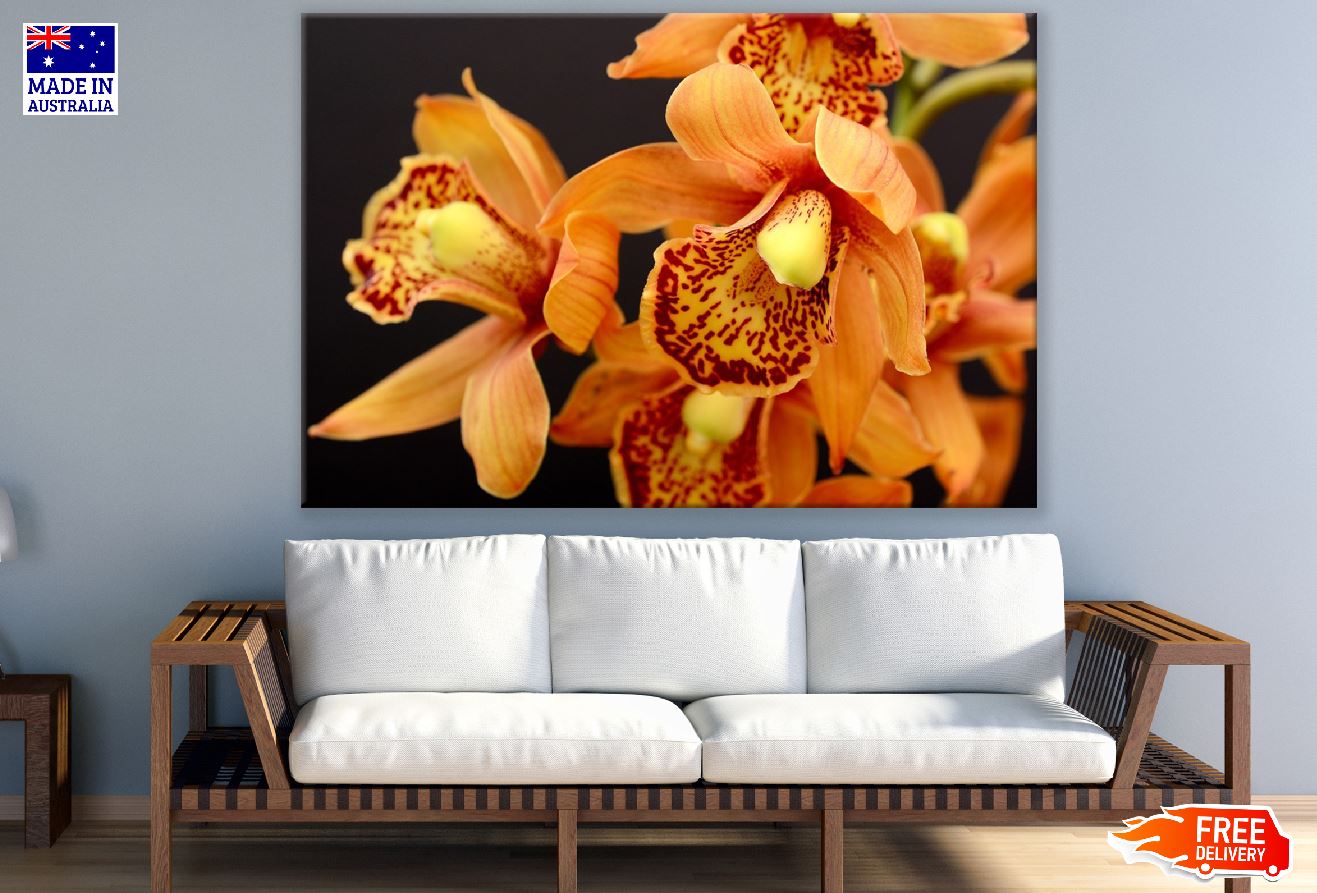 Orange Orchid Flowers Closeup Photograph Print 100% Australian Made