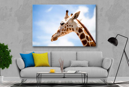 Bella Home Giraffe Closeup View & Blue Sky Print Canvas Ready to hang