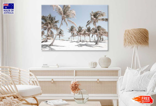 Palm Trees on Sandy Seashore View Photograph Print 100% Australian Made